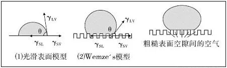 荷葉疏水劑 荷葉疏水劑